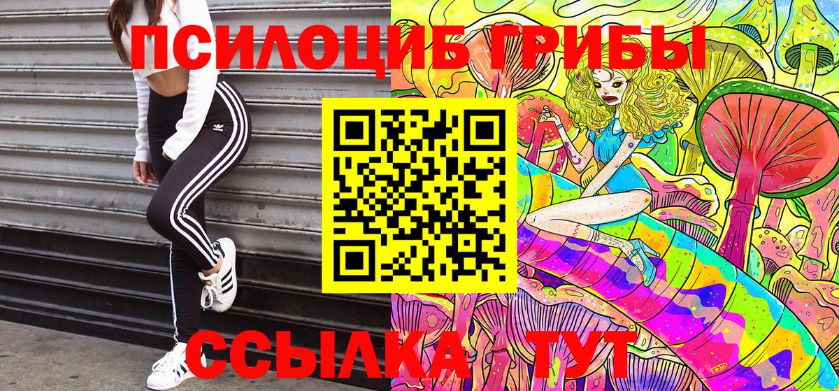 Псилоцибиновые грибы прущие грибы Прокопьевск