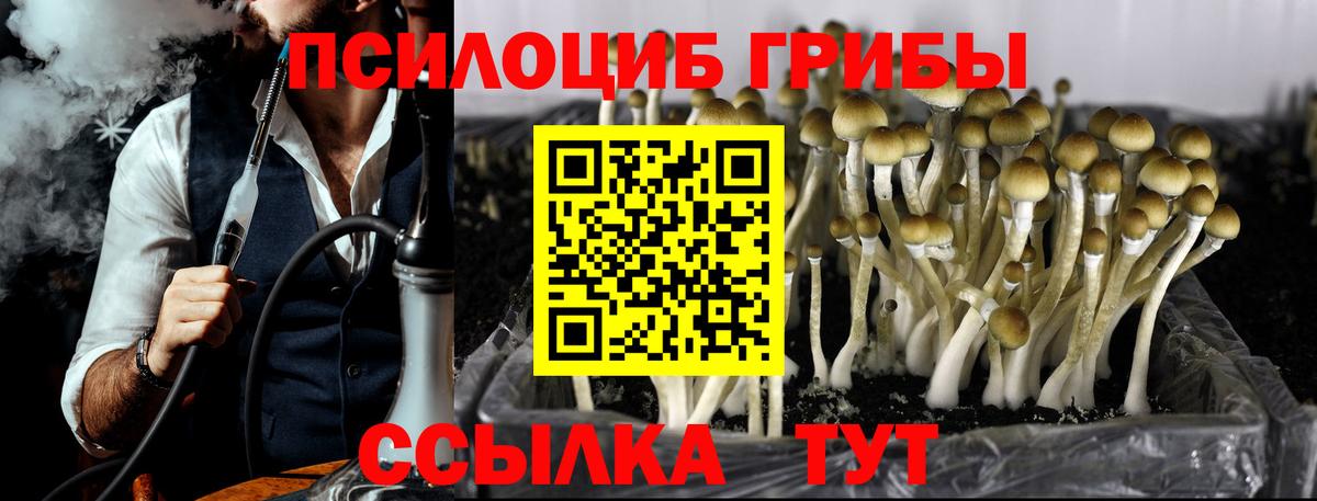 Прокопьевск  Галлюциногенные грибы прущие грибы  Галлюциногенные грибы мицелий  Вход с VPN 